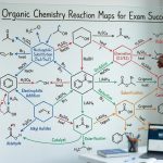 Organic Chemistry Reaction Maps for Exam Success